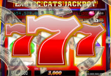 5 Things You Should Know About Slot Machine Tournaments