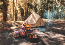 6 Things to Pack for Camping in Woods