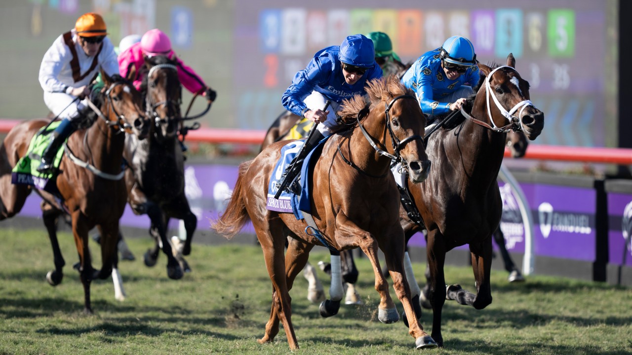 2024 Breeders' Cup ─ Things You Need To Know For This Year's Race