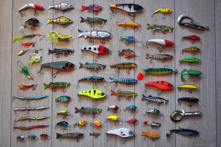 What is the Difference Between Freshwater and Saltwater Lures? Verge