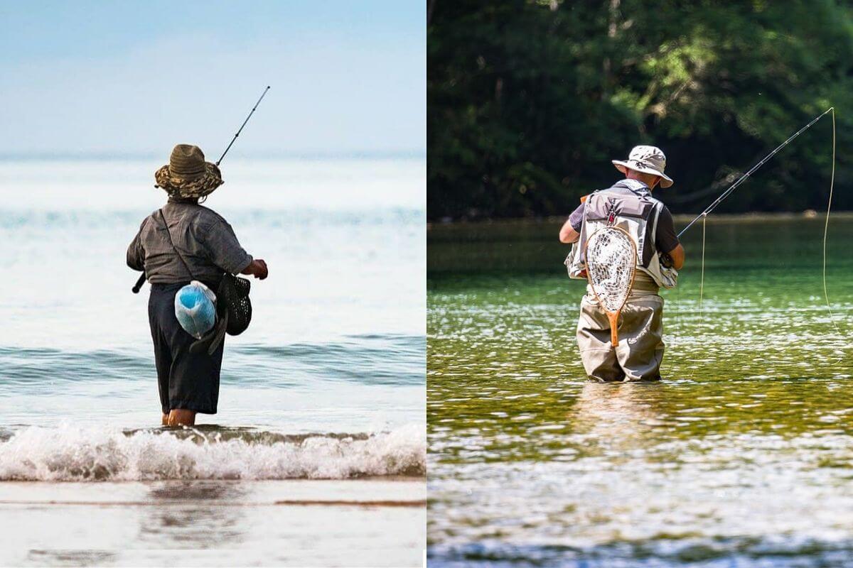The Difference Between Freshwater and Saltwater Fishing Gear Verge Campus