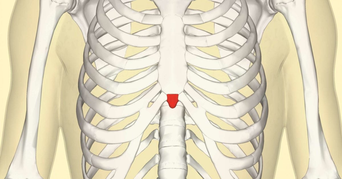 sternum-popping-should-you-be-concerned-verge-campus