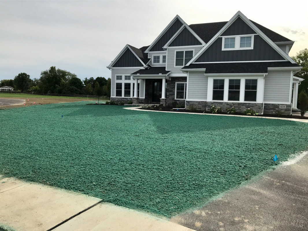 Hydroseeding vs. Traditional Seeding ─ Which Is Right for You? Verge