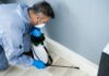 Emergency Pest Control: Essential Guide for Homeowners Seeking Houston Pest Services