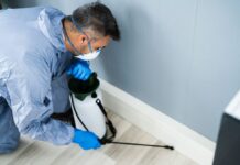 Emergency Pest Control: Essential Guide for Homeowners Seeking Houston Pest Services