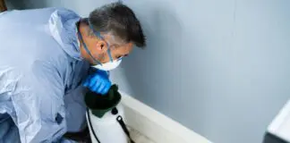 Emergency Pest Control: Essential Guide for Homeowners Seeking Houston Pest Services