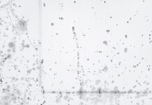 7 Signs Your Home Has a Hidden Moisture Problem