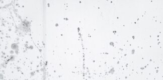7 Signs Your Home Has a Hidden Moisture Problem